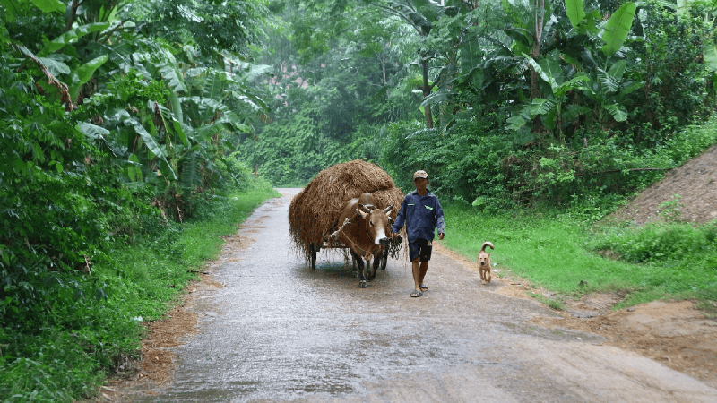 Đạp Xe Ngắm Hoàng Hôn Phong Nha (3)